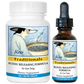 Kan Herb Traditionals Kudzu Releasing Formula 120 Tablets