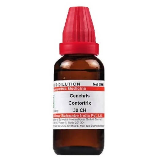 Dr. Willmar Schwabe India Cenchris Contortrix Dilution