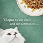Fancy Feast Purina Fancy Feast Medleys in Gravy Beef Ragu Recipe with Tomatoes and Pasta in a Savory Sauce