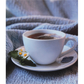 Bigelow Sweet Dreams Herb Tea Bags