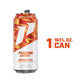 Phorm Energy , Orange Fury, 1 Single 16 Fl Oz Can, 200Mg Natural Caffeine From Green Tea