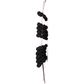 Goody Elastics