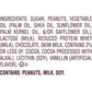 Hershey's MR. GOODBAR Chocolate with Peanuts XL, Candy Bar, 4.4 oz (16 Pieces)