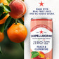 San Pellegrino Italian Sparkling Drink