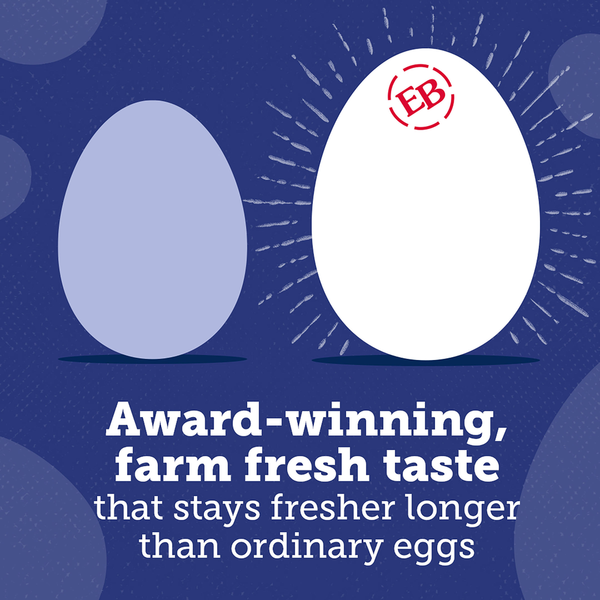 Eggland's Best Classic Extra Large White Eggs, 12 count