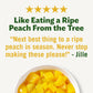Del Monte No Sugar Added Diced Peaches Plastic Fruit Cup Snacks
