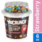 YoCrunch Strawberry Lowfat Yogurt with M&M's