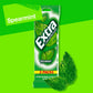 Extra Spearmint Sugar Free Chewing Gum Spring Break Travel Accessories