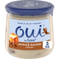 Yoplait Oui Caramel Chocolate Chip French Style Yo...
️