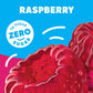 Jell-O Zero Sugar Raspberry Flavor Gelatin