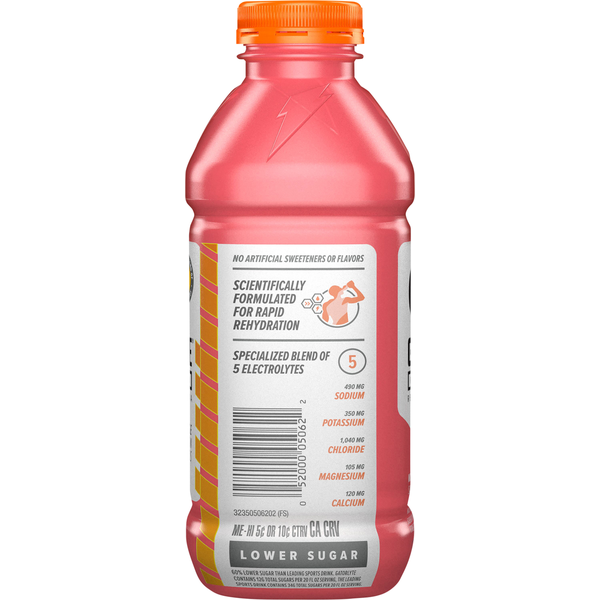 Gatorade Rapid Rehydration Electrolyte Beverage Watermelon 20 Fl Oz