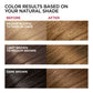 L'Oreal Permanent Hair Color, 6.5G Lightest Golden Brown