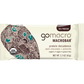 GoMacro Dark Chocolate + Almonds MacroBar