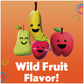DenTek Fun Flossers Kids Wild Fruit