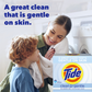 Tide Clean and Gentle Powder Laundry Detergent, Unscented