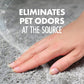 Arm & Hammer Carpet Odor Eliminator