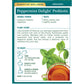 Traditional Medicinals Organic Peppermint Delight Probiotic, Caffeine Free Herbal Tea