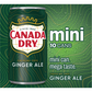 Canada Dry Ginger Ale, Mini