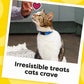TEMPTATIONS Classic Crunchy and Soft Cat Treats Tasty Chicken Flavor