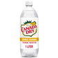 Canada Dry Tonic Water