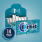 Orbit Gum Wintermint Sugar Free Chewing Gum Single Pack