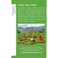 Traditional Medicinals Organic Green Tea Matcha with Toasted Rice, Caffeine Free Herbal Tea