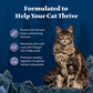 Blue Buffalo Wilderness High Protein, Natural Adult Dry Cat Food, Chicken