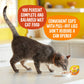 Meow Mix Chunks in Gravy Wet Cat Food With REAL Chicken Breast, 2.75 Oz. Cup (Packaging And Formulation Updates Underway)
