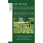 Traditional Medicinals Organic Turmeric with Meadowsweet & Ginger, Caffeine Free Herbal Tea