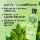 Herbal Essences Purifying Tea Tree Conditioner