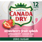 Canada Dry Zero Sugar Strawberry Fruit Splash Strawberry Ginger Ale