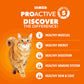 IAMS PROACTIVE HEALTH Adult Healthy Dry Cat Food with Salmon Cat Kibble, 3.5 lb. Bag