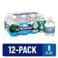 ICE MOUNTAIN Natural Spring Water