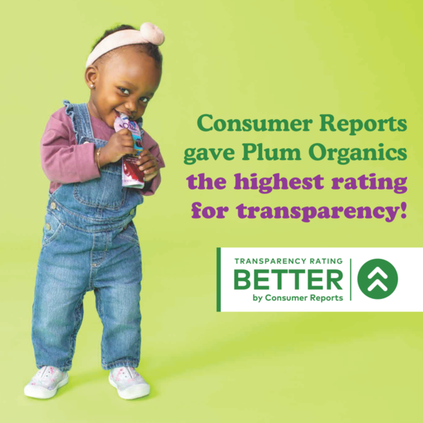 Plum Organics Just Mangos Baby Food