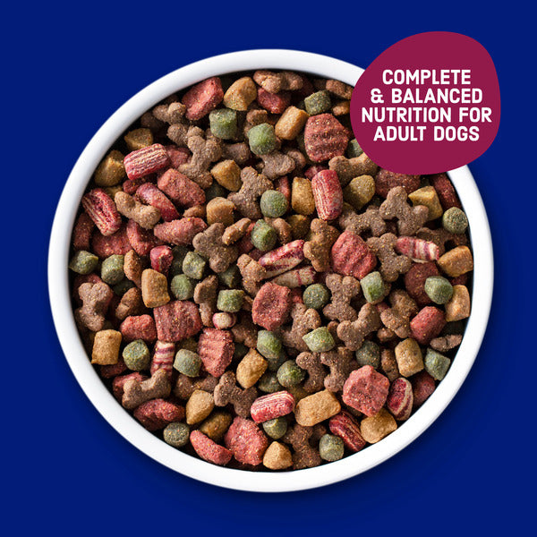Kibbles 'n Bits Savory Bacon & Steak Flavor Dry Dog Food, 16 lb. Bag