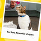 TEMPTATIONS Shakeups Crunchy and Soft Cat Treats, Clucky Carnival Flavor