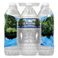 ICE MOUNTAIN Natural Spring Water