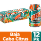 Mountain Dew Soda Pop Baja Cabo Citrus Tropical Punch Soda Cans