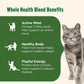 Rachael Ray Nutrish Real Chicken & Brown Rice Recipe Whole Health Blend Dry Cat Food