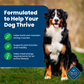 Blue Buffalo Life Protection Formula Natural Adult Dry Dog Food, Lamb and Brown Rice