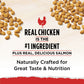 Purina Cat Chow Naturals With Added Vitamins, Minerals and Nutrients Dry Cat Food, Naturals Original