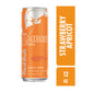 Red Bull Strawberry Apricot  Energy Drink