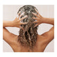 L'Oreal Sulfate Free Blonde Shampoo with Iris, brightens Blonde,