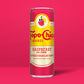 Topo Chico Sabores Raspberry with Lemon Sparkling Water Cans