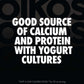 Oikos Zero Plain Nonfat Greek Yogurt Tub