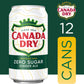 Canada Dry Zero Sugar Ginger Ale