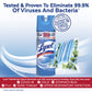 Lysol Disinfectant, Sanitizing, Antibacterial Spray Spring Waterfall