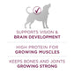 Purina ONE Natural, High Protein Dry Puppy Food, +Plus Healthy Puppy Formula