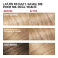 L'Oreal Permanent Hair Color, 8.5A Champagne Blonde