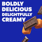 International Delight Hershey's Chocolate Caramel Coffee Creamer